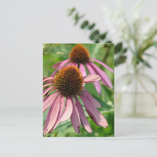 不完全 ポストカード (スタンド正面)