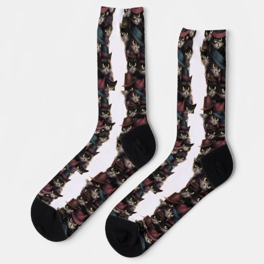 不審な猫 ソックス (左)