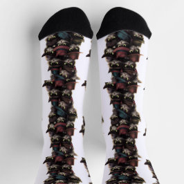 不審な猫 ソックス