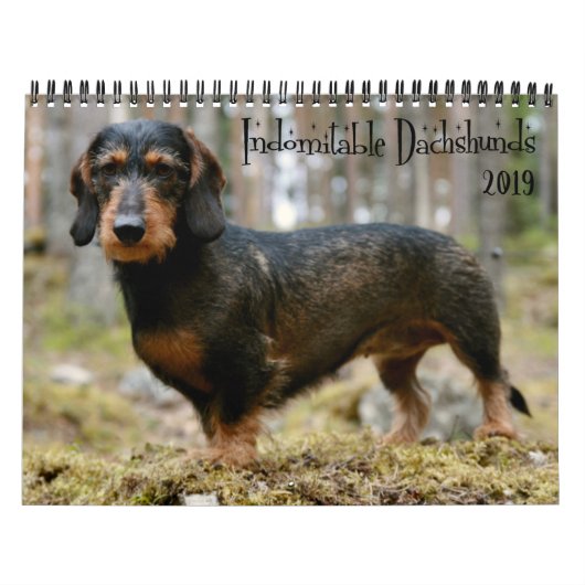 不屈のダシュントカスタムズ年 カレンダー (カバー)