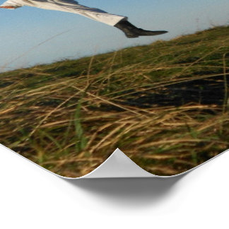 不屈の精神テコンドポスター ポスター