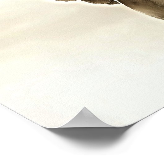 不幸天使 ポスター (角)