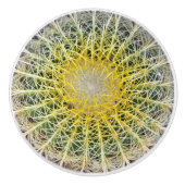 不快おもしろいなアリドサボテン セラミックノブ (正面)