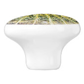 不快おもしろいなアリドサボテン セラミックノブ (側面)