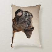 不思議そうに調べているBrindleボクサーの子犬 アクセントクッション (正面(垂直))
