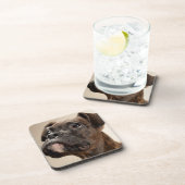 不思議そうに調べているBrindleボクサーの子犬 コースター (右側)