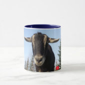 不思議そうにAdirondackのヤギのマグ(木びき台) マグカップ (中央)