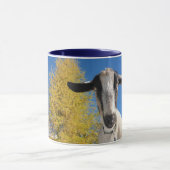 不思議そうにAdirondackのヤギのマグ(KIKO) マグカップ (中央)