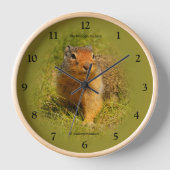 不思議なかわいいコロンビアグラウンドリス 壁時計 (正面)