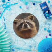 不思議なアライグマ ペーパープレート (パーティー)