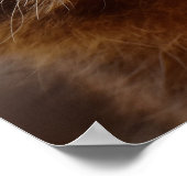 不思議なアライグマ ポスター (角)