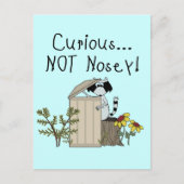 不思議なアライグマ ポストカード (正面)