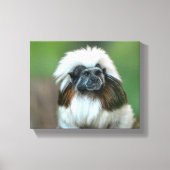 不思議なサル キャンバスプリント (正面)