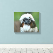 不思議なサル キャンバスプリント (インサイチュ (ウッドフロア))