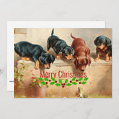 不思議なダシュントの子犬とカエルのクリスマス。 シーズンカード (正面/裏面)