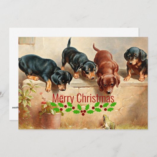 不思議なダシュントの子犬とカエルのクリスマス。 シーズンカード (正面/裏面)