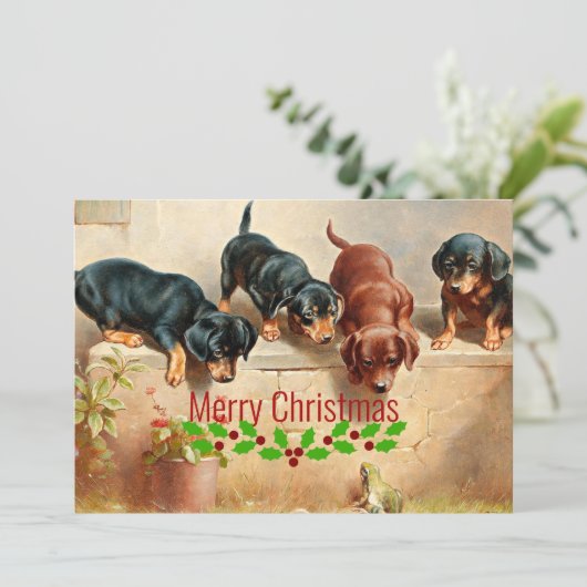 不思議なダシュントの子犬とカエルのクリスマス。 シーズンカード (スタンド正面)