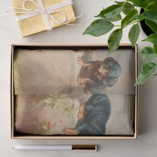 不思議なダシュントの子犬とレイチェルトのカエル 薄葉紙 (ギフト)