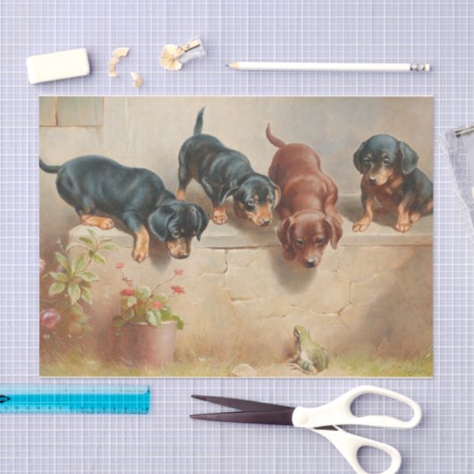 不思議なダシュントの子犬とレイチェルトのカエル 薄葉紙 (クラフト)