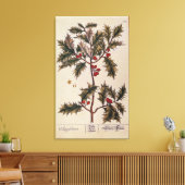 「不思議なハーブル」のホリー, 1782 キャンバスプリント (インサイチュ (リビング))