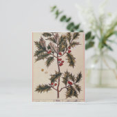 「不思議なハーブル」のホリー， 1782 ポストカード (スタンド正面)