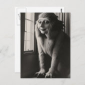 不思議なペットのハロウィーンのはがき ポストカード (正面/裏面)