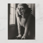 不思議なペットのハロウィーンのはがき ポストカード (正面)