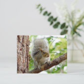 不思議なリス動物のはがき ポストカード (スタンド正面)