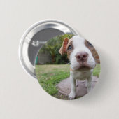 不思議な子犬 缶バッジ (正面&裏面)