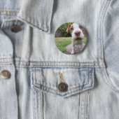 不思議な子犬 缶バッジ (インサイチュ)