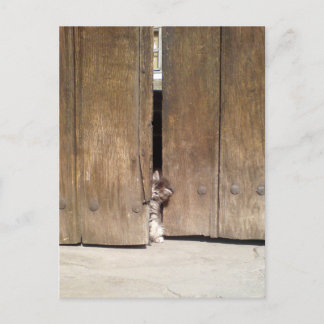 不思議な子猫 ポストカード