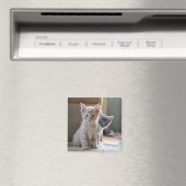 不思議な子猫 マグネット (インサイチュ (食洗機))