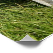 不思議な子羊 ポスター (角)