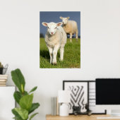 不思議な子羊 ポスター (ホームオフィス)