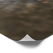 「不思議な小さな男」男性用ハウススパロウのポスター ポスター (角)