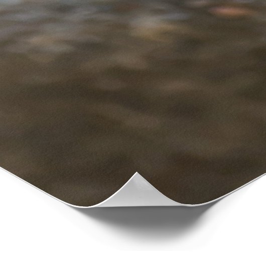 「不思議な小さな男」男性用ハウススパロウのポスター ポスター (角)