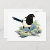 不思議な水の色マグパイバードアート ポストカード (正面/裏面)