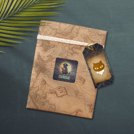 不思議な海賊の猫は古代の謎の棒を解読する スクエアシール