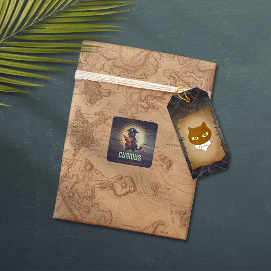 不思議な海賊の猫は古代の謎の棒を解読する スクエアシール