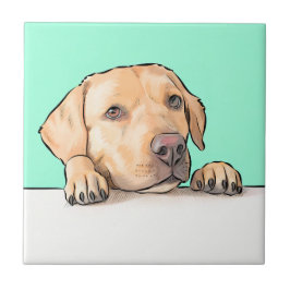 不思議な犬 タイル