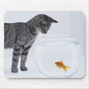 不思議な猫が金魚を丼で見ている マウスパッド
