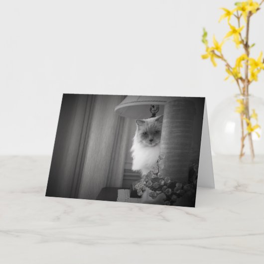 不思議な猫、カード カード (黄色い花)