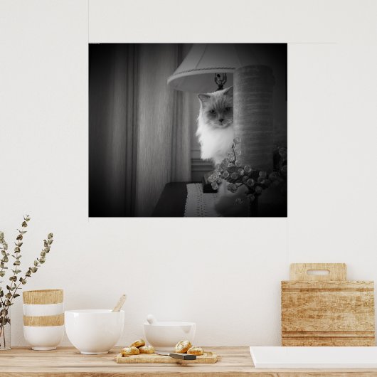 不思議な猫 ポスター (キッチン)