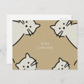 不思議な猫 ポストカード (正面/裏面)