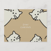 不思議な猫 ポストカード (正面)