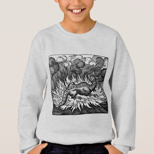 不思議な生き物のサラマンダーシャツ Tシャツ (正面)