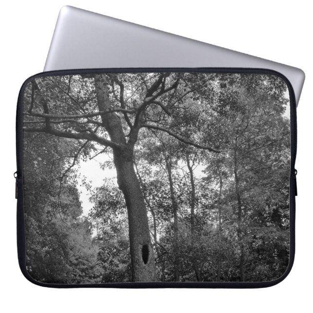 不思議な穴の開いた木 ラップトップスリーブ (正面)