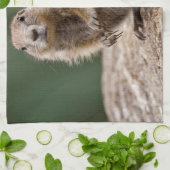 不思議な草原の犬のキッチンタオル キッチンタオル (折り畳み)