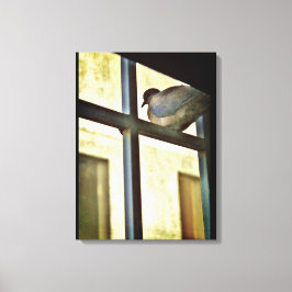 不思議な鳩 キャンバスプリント