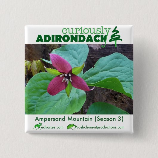 不思議なAdirondackボタン（アンパサンド・トリリウム） 缶バッジ (正面)
